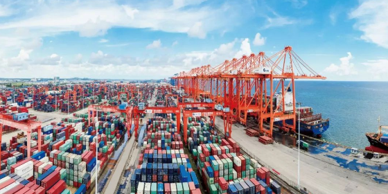 什么是海运口岸服务？