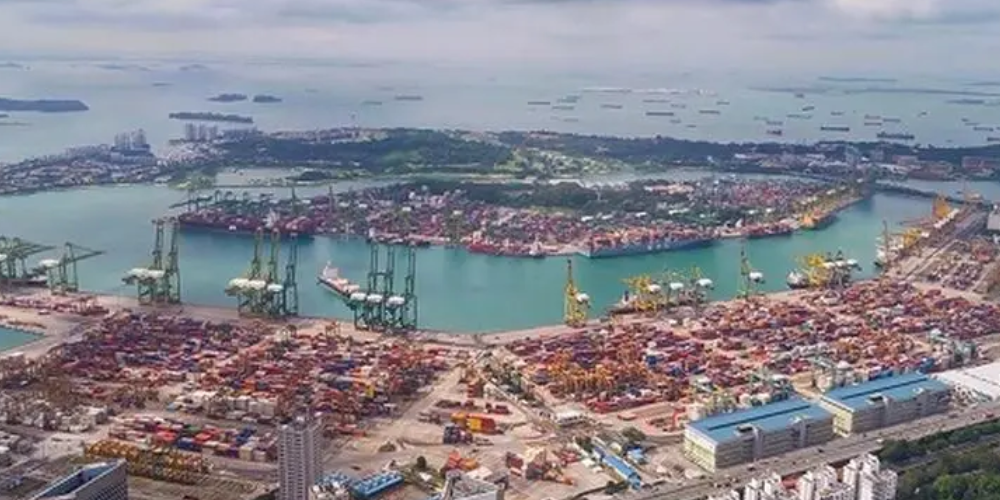 抖圈-为du而生官网入口