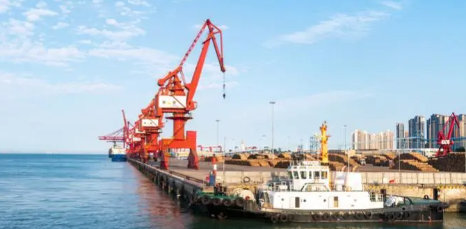 抖圈-为du而生官网入口