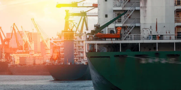 抖圈-为du而生官网入口