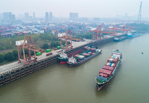 抖圈-为du而生官网入口