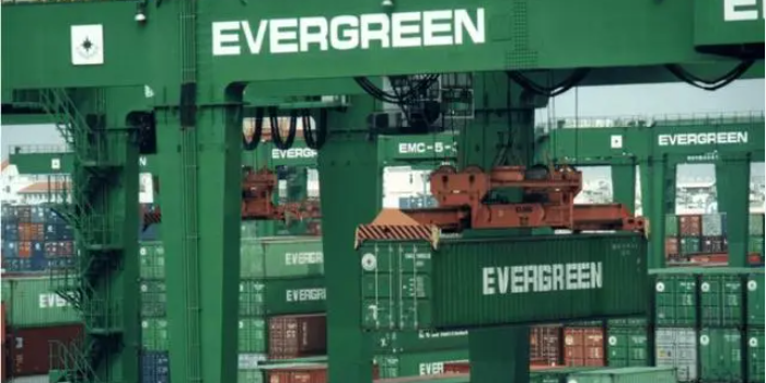 抖圈-为du而生官网入口