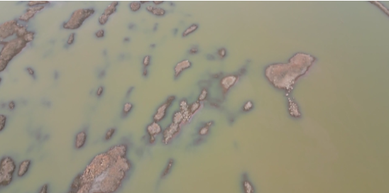 抖圈-为du而生官网入口