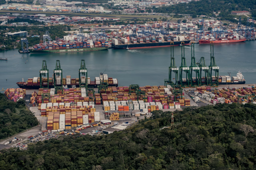 抖圈-为du而生官网入口