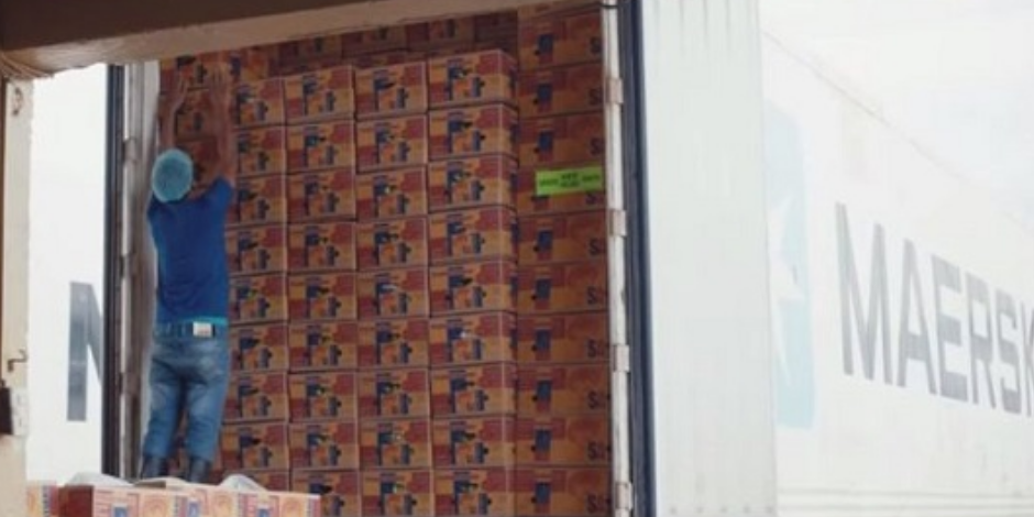 抖圈-为du而生官网入口